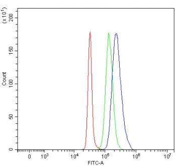 Flow cytometry testing of fixed and permeabilized human SH-SY5Y cells with PRMT6 antibody at 1ug/million cells (blocked with goat sera); Red=cells alone, Green=isotype control, Blue= PRMT6 antibody.