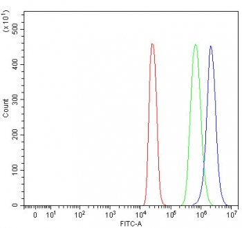 Flow cytometry testing of fixed and permeabilized human 293T cells with Protor-1 antibody at 1ug/million cells (blocked with goat sera); Red=cells alone, Green=isotype control, Blue= Protor-1 antibody.