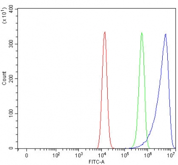 Flow cytometry testing of fixed and permeabilized human HEL cells with SEPN1 antibody at 1ug/million cells (blocked with goat sera); Red=cells alone, Green=isotype control, Blue= SEPN1 antibody.