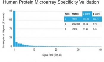 Analysis of HuProt(TM) microarray containing more than 19,000 full-length human proteins using FABP4 antibody (clone FABP4/4426). These results demonstrate the foremost specificity of the FABP4/4426 mAb. Z- and S- score: The Z-score represents the strength of a signal that an antibody (in combination with a fluorescently-tagged anti-IgG secondary Ab) produces when binding to a particular protein on the HuProt(TM) array. Z-scores are described in units of standard deviations (SD's) above the mean value of all signals generated on that array. If the targets on the HuProt(TM) are arranged in descending order of the Z-score, the S-score is the difference (also in units of SD's) between the Z-scores. The S-score therefore represents the relative target specificity of an Ab to its intended target.