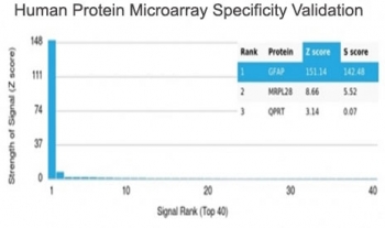 Analysis of HuProt(TM) microarray containing more than 19,000 full-length human proteins using GFAP antibody (clone GFAP/6879). These results demonstrate the foremost specificity of the GFAP/6879 mAb. Z- and S- score: The Z-score represents the strength of a signal that an antibody (in combination with a fluorescently-tagged anti-IgG secondary Ab) produces when binding to a particular protein on the HuProt(TM) array. Z-scores are described in units of standard deviations (SD's) above the mean value of all signals generated on that array. If the targets on the HuProt(TM) are arranged in descending order of the Z-score, the S-score is the difference (also in units of SD's) between the Z-scores. The S-score therefore represents the relative target specificity of an Ab to its intended target.