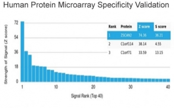 Analysis of HuProt(TM) microarray containing more than 19,000 full-length human proteins using ZSCAN2 antibody (clone PCRP-ZSCAN2-1F8). These results demonstrate the foremost specificity of the PCRP-ZSCAN2-1F8 mAb. Z- and S- score: The Z-score represents the strength of a signal that an antibody (in combination with a fluorescently-tagged anti-IgG secondary Ab) produces when binding to a particular protein on the HuProt(TM) array. Z-scores are described in units of standard deviations (SD's) above the mean value of all signals generated on that array. If the targets on the HuProt(TM) are arranged in descending order of the Z-score, the S-score is the difference (also in units of SD's) between the Z-scores. The S-score therefore represents the relative target specificity of an Ab to its intended target.