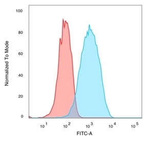 FACS staining of PFA-fixed human MCF-7 cells with QKI antibody (blue, clone PCRP-QKI-2F10), and isotype control (red).