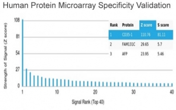 Analysis of HuProt(TM) microarray containing more than 19,000 full-length human proteins using CD35 antibody (clone CR1/6377). These results demonstrate the foremost specificity of the CR1/6377 mAb. Z- and S- score: The Z-score represents the strength of a signal that an antibody (in combination with a fluorescently-tagged anti-IgG secondary Ab) produces when binding to a particular protein on the HuProt(TM) array. Z-scores are described in units of standard deviations (SD's) above the mean value of all signals generated on that array. If the targets on the HuProt(TM) are arranged in descending order of the Z-score, the S-score is the difference (also in units of SD's) between the Z-scores. The S-score therefore represents the relative target specificity of an Ab to its intended target.