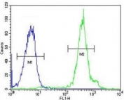 FUS antibody flow cytometric analysis of HeLa cells (right histogram) compared to a negative control (left histogram). FITC-conjugated goat-anti-rabbit secondary Ab was used for the analysis.