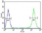 TFAM antibody flow cytometric analysis of K562 cells (right histogram) compared to a negative control (left histogram). FITC-conjugated goat-anti-rabbit secondary Ab was used for the analysis.