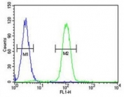 SP1 antibody flow cytometric analysis of K562 cells (right histogram) compared to a negative control (left histogram). FITC-conjugated goat-anti-rabbit secondary Ab was used for the analysis.