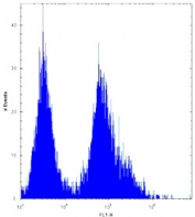 CDKN2B antibody flow cytometric analysis of 293 cells (right histogram) compared to a <a href=