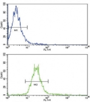 Flow cytometric analysis of NCI-H460 cells using NRG1 antibody (green) compared to a negative control (blue). FITC-conjugated goat-anti-rabbit secondary Ab was used for the analysis.