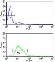 RAN antibody flow cytometry analysis of HL-60 cells (green) compared to a <a href=