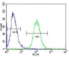 Aurora-A antibody flow cytometric analysis of HeLa cells (green) compared to a <a href=../search_result.php?search_txt=n1001>negative control</a> (blue). FITC-conjugated goat-anti-rabbit secondary Ab was used for the analysis.