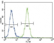 DDR1 antibody flow cytometric analysis of 293 cells (right histogram) compared to a negative control (left histogram). FITC-conjugated goat-anti-rabbit secondary Ab was used for the analysis.