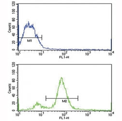 BMI1 antibody flow cytometric analysis of MCF-7 cells (bottom histogram) compared to a negative control (top histogram). FITC-conjugated goat-anti-rabbit secondary Ab was used for the analysis.
