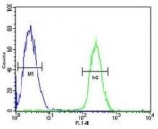 RNF8 antibody flow cytometric analysis of Jurkat cells (green) compared to a negative control (blue). FITC-conjugated goat-anti-rabbit secondary Ab was used for the analysis.