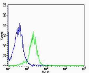 Flow cytometric analysis of MCF-7 cells using Histone H4 antibody (green) compared to an <a href=../search_result.php?search_txt=n1001>isotype control of rabbit IgG</a> (blue); Ab was diluted at 1:25 dilution. An Alexa Fluor 488 goat anti-rabbit lgG was used as the secondary Ab.