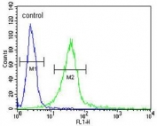 Flow cytometry testing of human NCI-H460 cells with GIT1 antibody; Blue=isotype control, Green= GIT1 antibody.