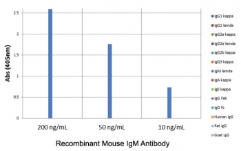 ELISA of mouse immunoglobulins shows the recombinant Mouse IgM antibody reacts to mIgM; no cross reactivity with IgG1, IgG2a, IgG2b, IgG3, IgA, IgE, human/rat/goat IgG.~
