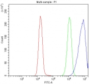 Flow cytometry testing of fixed and permeabilized human Jurkat cells with CD45 antibody at 1ug/million cells (blocked with goat sera); Red=cells alone, Green=isotype control, Blue= CD45 antibody.