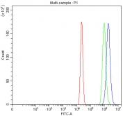 Flow cytometry testing of fixed and permeabilized human A431 cells with Ku70 antibody at 1ug/million cells (blocked with goat sera); Red=cells alone, Green=isotype control, Blue= Ku70 antibody.