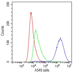 Flow cytometry testing of human A549 cells with CD147 antibody at 1ug/10^6 cells (cells blocked with goat sera); Red=cells alone, Green=isotype control, Blue=CD147 antibody.