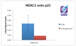 ChIP of 2ug of Hdac1 antibody with MCF7 chromatin using the Chromatrap® spin column sonication kit (Protein G) measuring H3 enrichment onto the p21 locus.