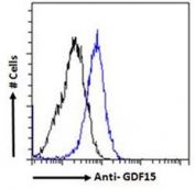 Flow cytometry testing of PFA-fixed human HeLa cells with GDF15 antibody (blue) and naive control (black).