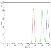 Flow cytometry testing of fixed and permeabilized human U-87 MG cells with DCK antibody at 1ug/10^6 cells (blocked with goat sera); Red=cells alone, Green=isotype control, Blue= DCK antibody.