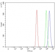 Flow cytometry testing of fixed and permeabilized human A431 cells with S100A10 antibody at 1ug/10^6 cells (blocked with goat sera); Red=cells alone, Green=isotype control, Blue= S100A10 antibody.