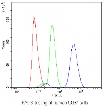 FACS testing of human U937 cells with AHR antibody at 1ug/million cells (blocked with goat sera); Red=cells alone, Green=isotype control, Blue= AHR antibody.