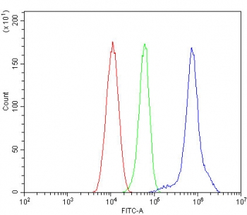 Flow cytometry testing of human HL-60 cells with Menin antibody at 1ug/million cells (blocked with goat sera); Red=cells alone, Green=isotype control, Blue= Menin antibody.