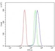 Flow cytometry testing of human U937 cells with GRSF1 antibody at 1ug/million cells (blocked with goat sera); Red=cells alone, Green=isotype control, Blue= GRSF1 antibody.