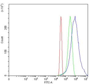 Flow cytometry testing of human HeLa cells with Pyruvate Kinase antibody at 1ug/million cells (blocked with goat sera); Red=cells alone, Green=isotype control, Blue= Pyruvate Kinase antibody.