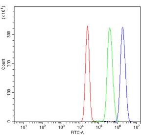Flow cytometry testing of human K562 cells with GATA1 antibody at 1ug/million cells (blocked with goat sera); Red=cells alone, Green=isotype control, Blue= GATA1 antibody.