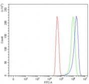 Flow cytometry testing of human U-251 cells with MCART1/2 antibody at 1ug/million cells (blocked with goat sera); Red=cells alone, Green=isotype control, Blue= MCART1/2 antibody.