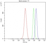 Flow cytometry testing of mouse ANA-1 cells with Light antibody at 1ug/million cells (blocked with goat sera); Red=cells alone, Green=isotype control, Blue= Light antibody.