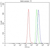 Flow cytometry testing of fixed and permeabilized human Daudi cells with TRMT2B antibody at 1ug/million cells (blocked with goat sera); Red=cells alone, Green=isotype control, Blue= TRMT2B antibody.