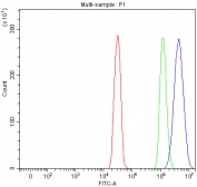 Flow cytometry testing of human SiHa cells with RRP1B antibody at 1ug/million cells (blocked with goat sera); Red=cells alone, Green=isotype control, Blue= RRP1B antibody.