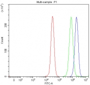 Flow cytometry testing of human 293T cells with SETD3 antibody at 1ug/million cells (blocked with goat sera); Red=cells alone, Green=isotype control, Blue= SETD3 antibody.