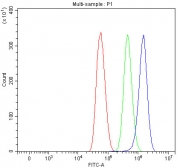 Flow cytometry testing of human U-87 MG cells with TPRBK antibody at 1ug/million cells (blocked with goat sera); Red=cells alone, Green=isotype control, Blue= TPRBK antibody.