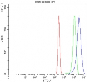 Flow cytometry testing of human A431 cells with SERINC2 antibody at 1ug/million cells (blocked with goat sera); Red=cells alone, Green=isotype control, Blue= SERINC2 antibody.