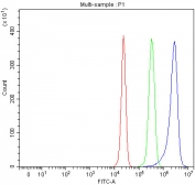 Flow cytometry testing of human HepG2 cells with SERINC5 antibody at 1ug/million cells (blocked with goat sera); Red=cells alone, Green=isotype control, Blue= SERINC5 antibody.