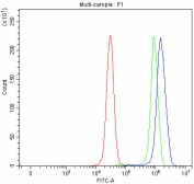 Flow cytometry testing of human 293T cells with Selenium Binding Protein antibody at 1ug/million cells (blocked with goat sera); Red=cells alone, Green=isotype control, Blue= Selenium Binding Protein antibody.
