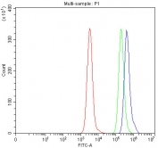 Flow cytometry testing of human Daudi cells with Semaphorin-4F antibody at 1ug/million cells (blocked with goat sera); Red=cells alone, Green=isotype control, Blue= Semaphorin-4F antibody.