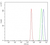 Flow cytometry testing of human U-87 MG cells with PIN1 antibody at 1ug/million cells (blocked with goat sera); Red=cells alone, Green=isotype control, Blue= PIN1 antibody.
