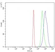 Flow cytometry testing of human HL-60 cells with RASSF2 antibody at 1ug/million cells (blocked with goat sera); Red=cells alone, Green=isotype control, Blue= RASSF2 antibody.
