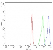 Flow cytometry testing of human U937 cells with FAM60A antibody at 1ug/million cells (blocked with goat sera); Red=cells alone, Green=isotype control, Blue= FAM60A antibody.