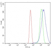 Flow cytometry testing of human U-251 cells with EHD4 antibody at 1ug/million cells (blocked with goat sera); Red=cells alone, Green=isotype control, Blue= EHD4 antibody.