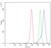 Flow cytometry testing of human 293T cells with SMC6 antibody at 1ug/million cells (blocked with goat sera); Red=cells alone, Green=isotype control, Blue= SMC6 antibody.