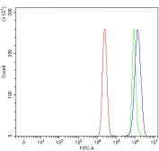 Flow cytometry testing of human MCF7 cells with RASGRP1 antibody at 1ug/million cells (blocked with goat sera); Red=cells alone, Green=isotype control, Blue= RASGRP1 antibody.