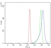 Flow cytometry testing of human U-2 OS cells with RASGRP1 antibody at 1ug/million cells (blocked with goat sera); Red=cells alone, Green=isotype control, Blue= RASGRP1 antibody.